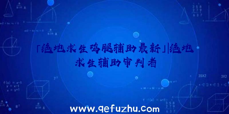 「绝地求生鸡腿辅助最新」|绝地求生辅助审判者